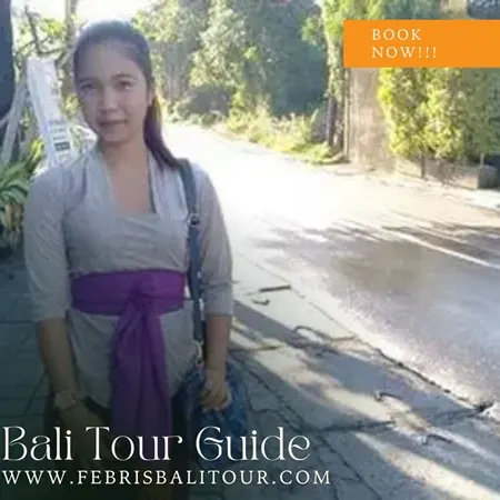 Bali Tour Guide