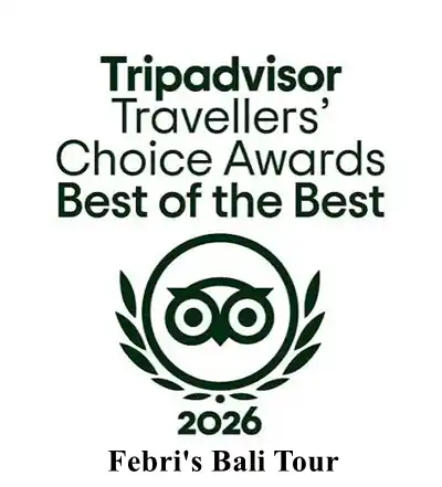 TripAdvisor Award Febri's Bali Tour